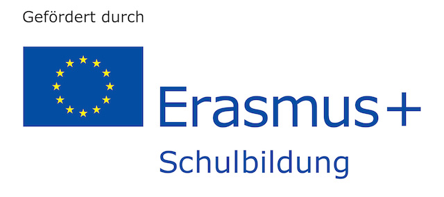 Logo Erasmus german rgb